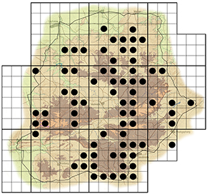 Euphorbia ingens Waterberg distribution